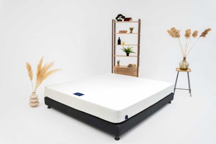 Матрас Materlux ECOLOGIC DREAM MAXI 160х185