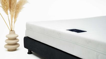 Матрас Materlux ECOLOGIC DREAM MAXI 160х185